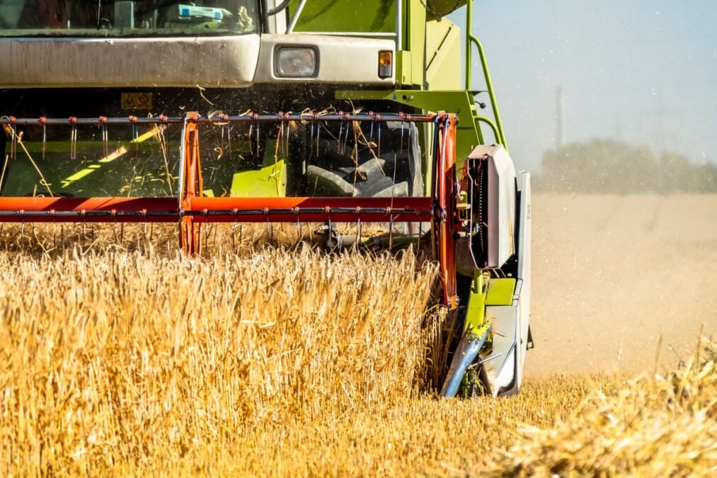 abfallkalender landkreis Bautzen