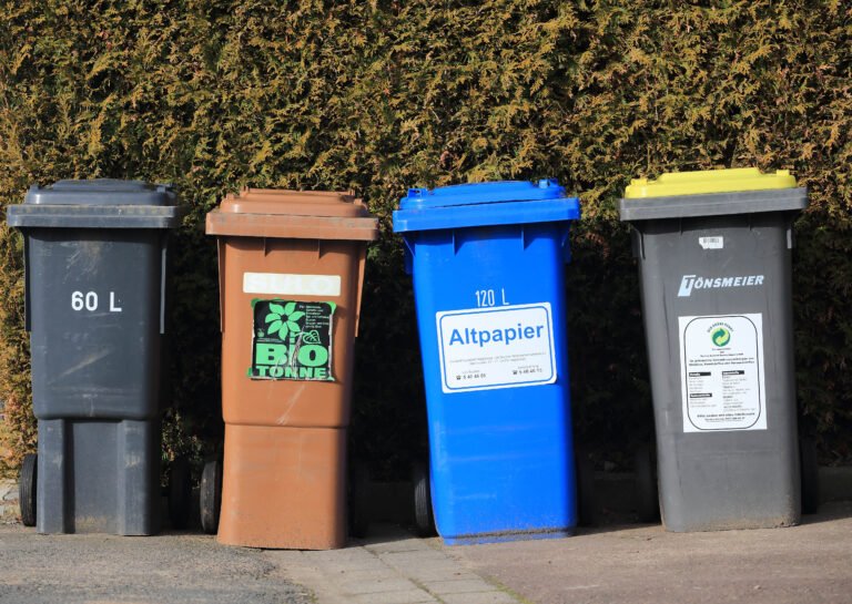 Abfallkalender Landkreis Bautzen erklärt Mülltrennung und Abholsystem im Detail abfallkalender landkreis Bautzen