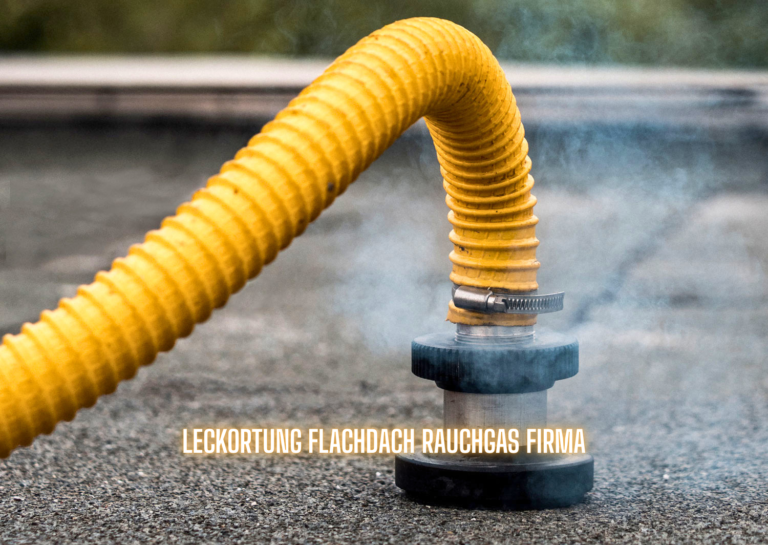 Leckortung Flachdach Rauchgas Firma moderne Methode zur präzisen Dachanalyse duschkabine diana ersatzteile