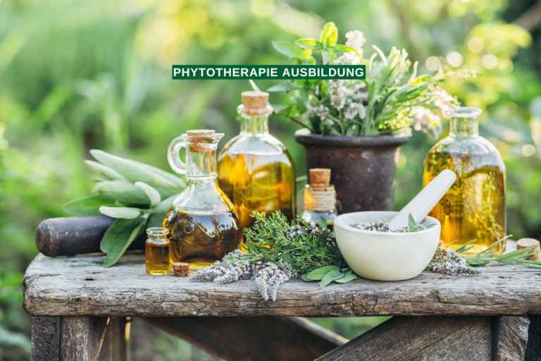Phytotherapie Ausbildung Inhalte Dauer Kosten und wichtige Informationen duschkabine diana ersatzteile